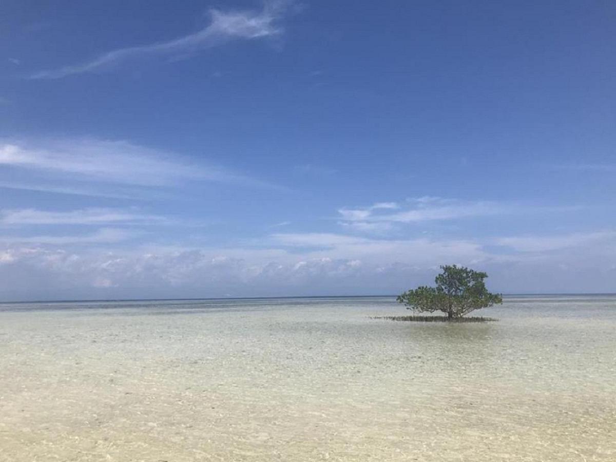Irish Lodge Panglao Εξωτερικό φωτογραφία